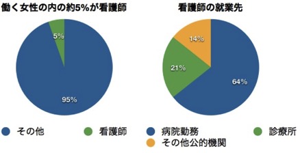 働く女性のうちの5%が看護師のグラフ